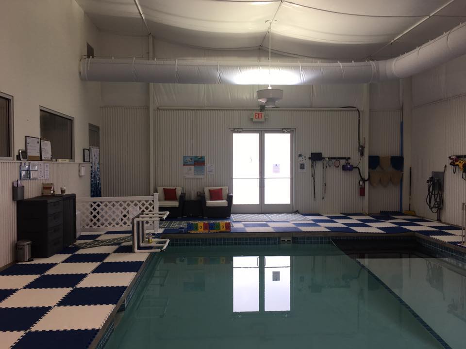 Jacksonville senior dog rescue plans hydrotherapy pool to